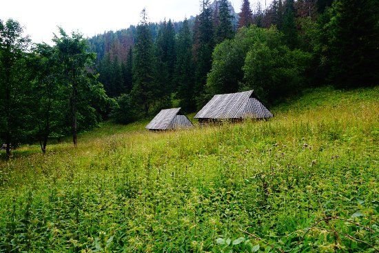 Polana Szymoszkowa